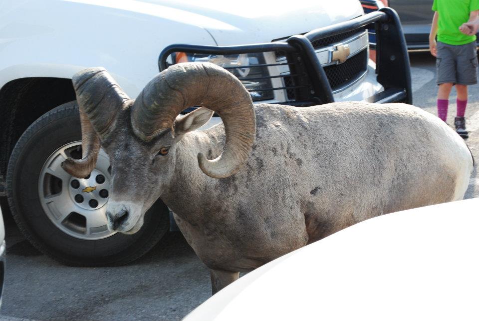 381070_2489941244612_1465852748_n