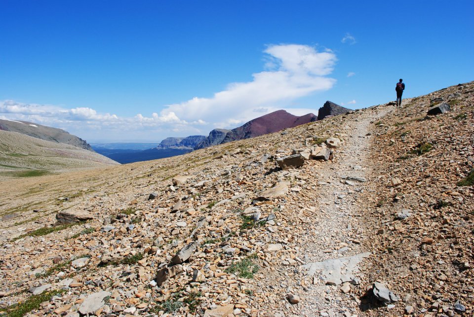 391211_2489947964780_340491439_n